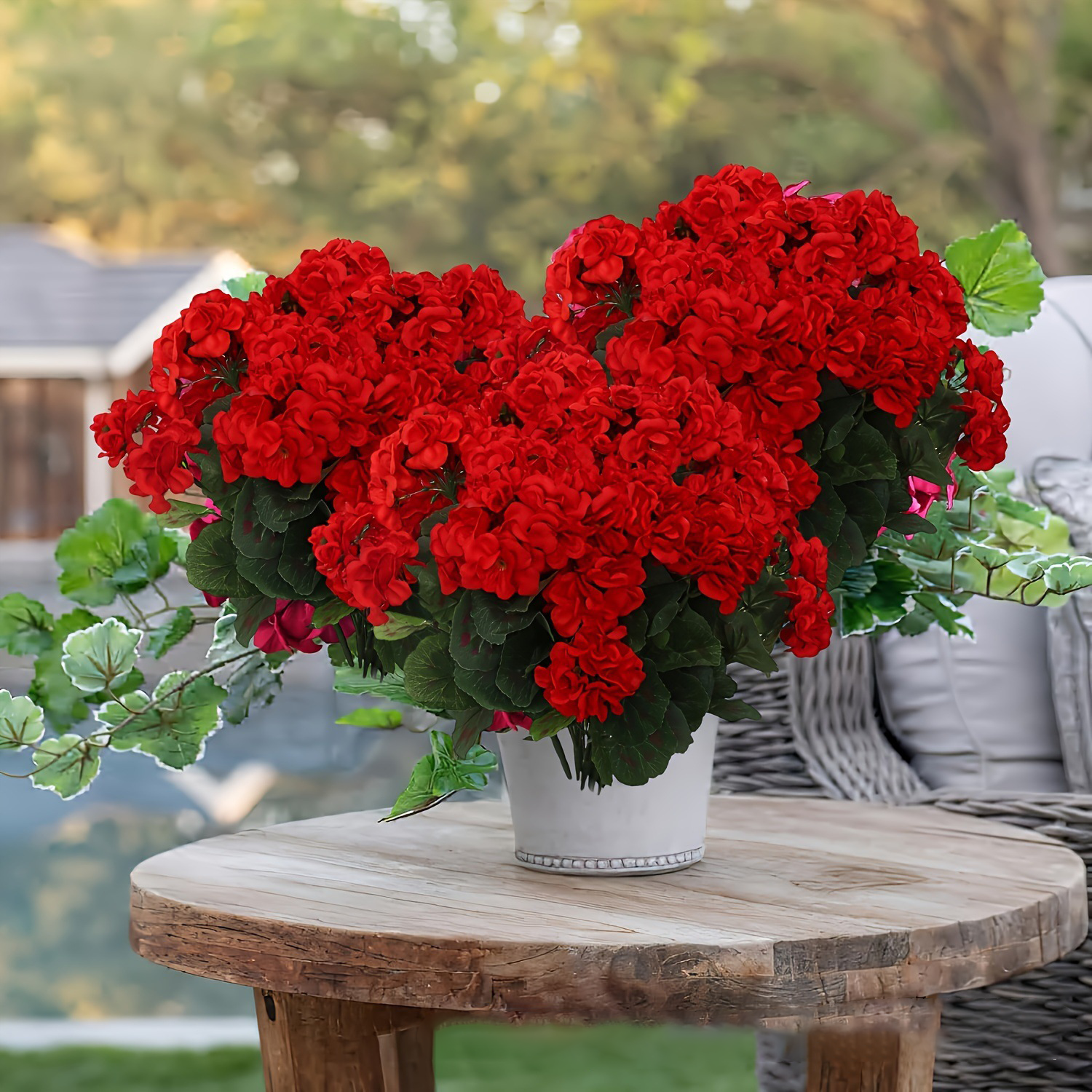🔥$9.99 Hot Sale Today Only🌺 UV Resistant Lifelike  Artificial Geraniums Flowers