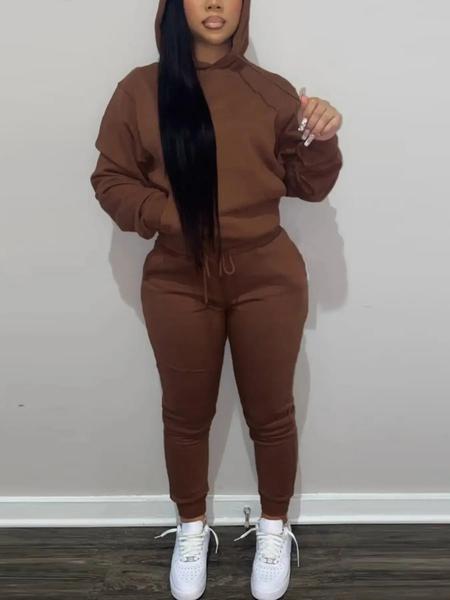 Casual Plain Drawstring Sweatshirt Outfit Set, Fitted Regular Length, Moderate Fabric, Fall & Winter Wear, Women's Clothing