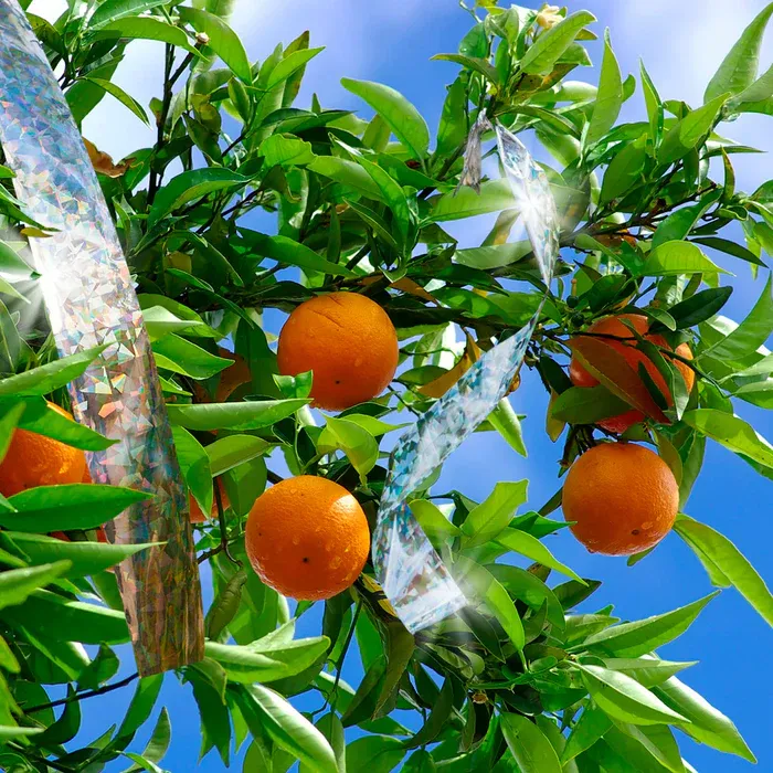 Anti-Bird Reflective Tapes for Pest Control and Bird Droppings