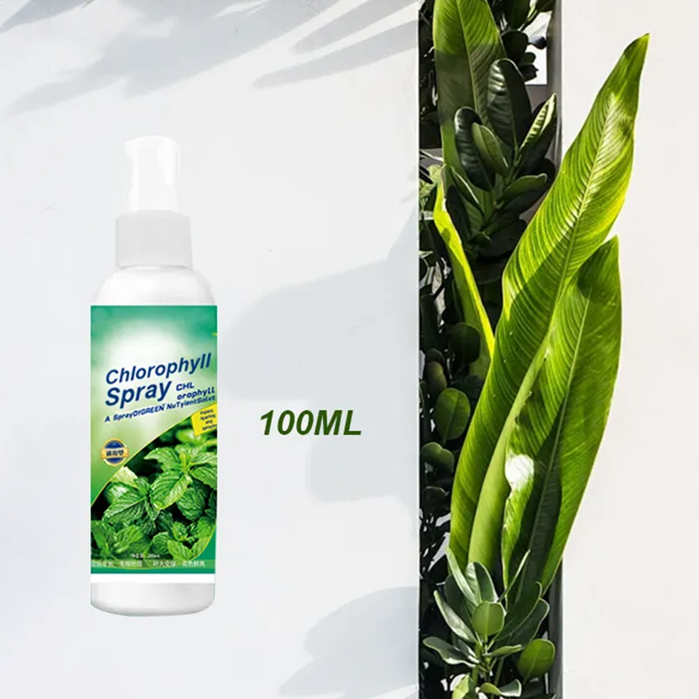  Chlorophyll Spray