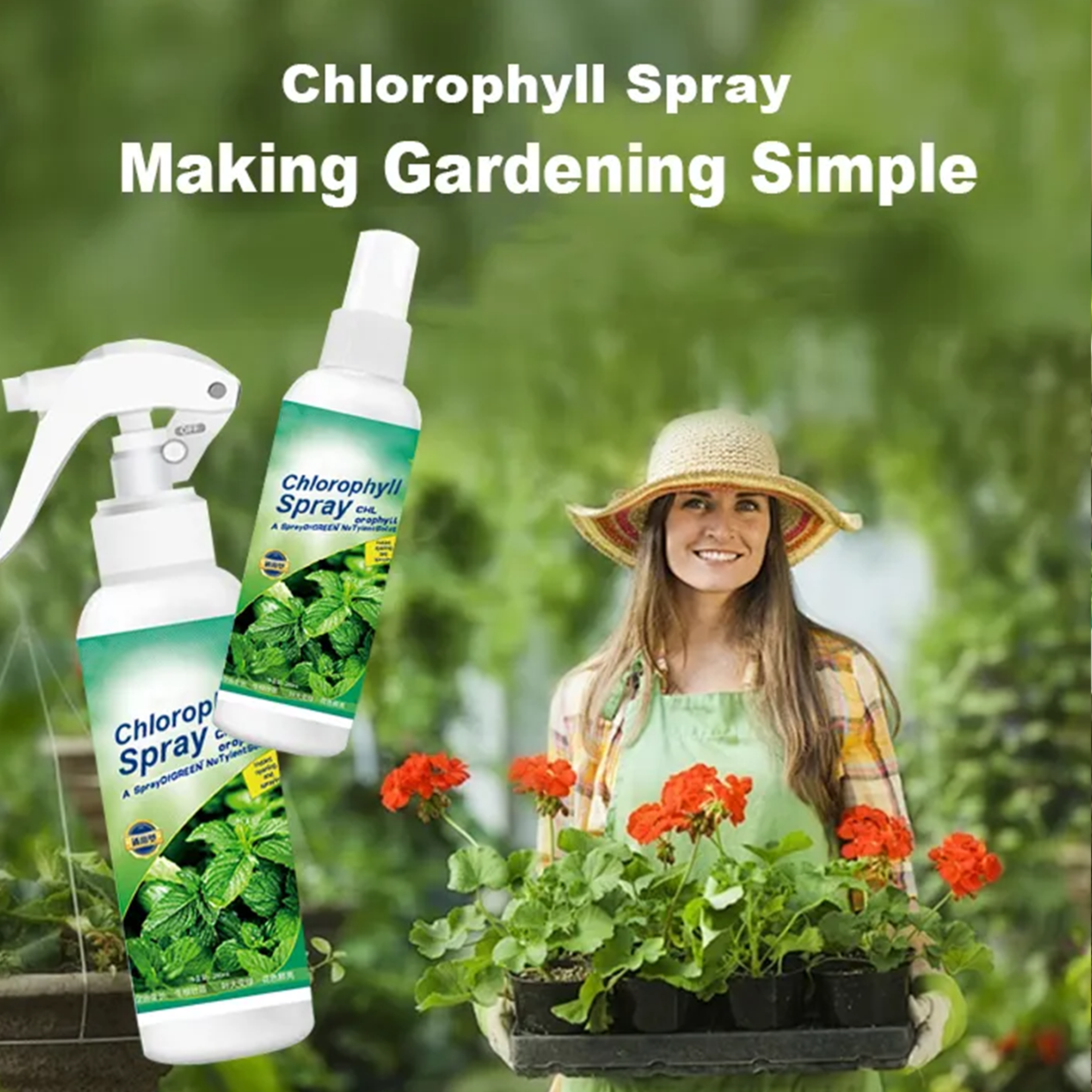  Chlorophyll Spray