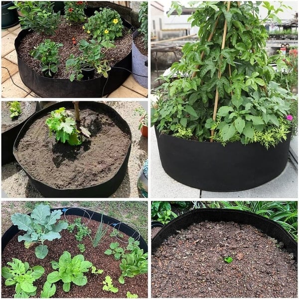 Fabric Raised Planting Bag - Cultivate Your Own Green Oasis