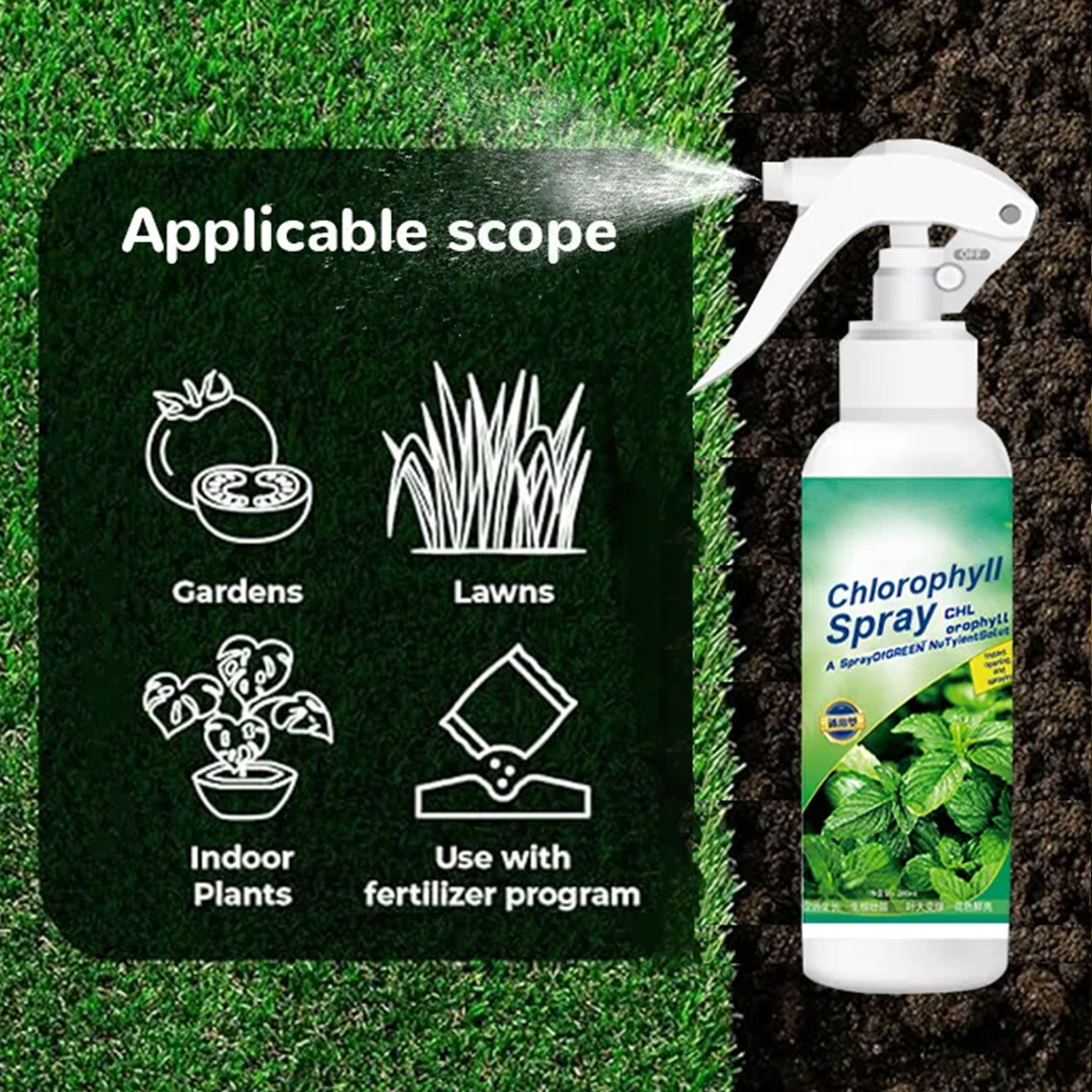  Chlorophyll Spray