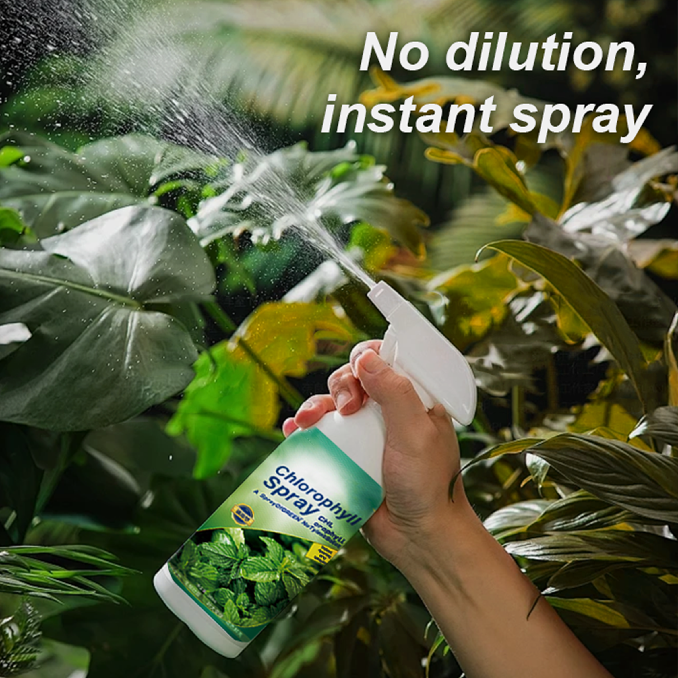  Chlorophyll Spray