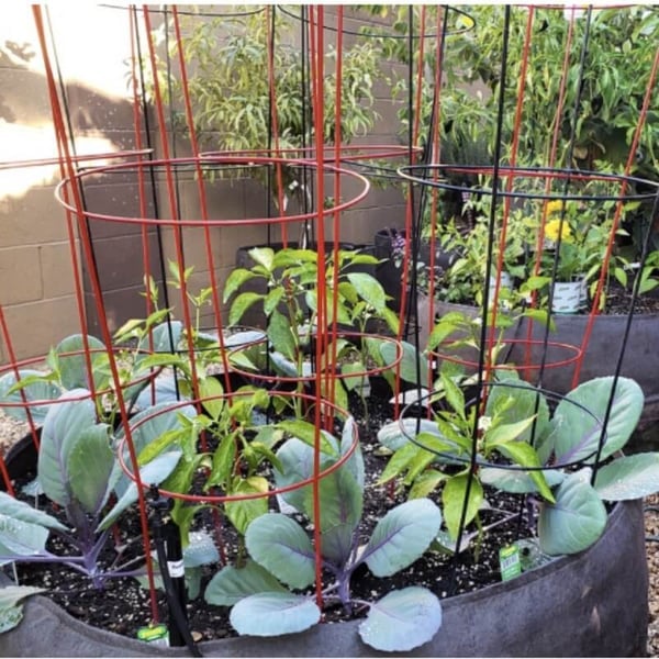 Fabric Raised Planting Bag - Cultivate Your Own Green Oasis