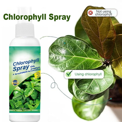  Chlorophyll Spray