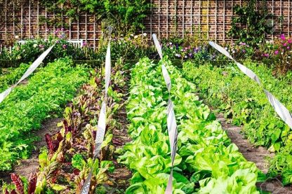 Anti-Bird Repellent Ribbon for Pest Control