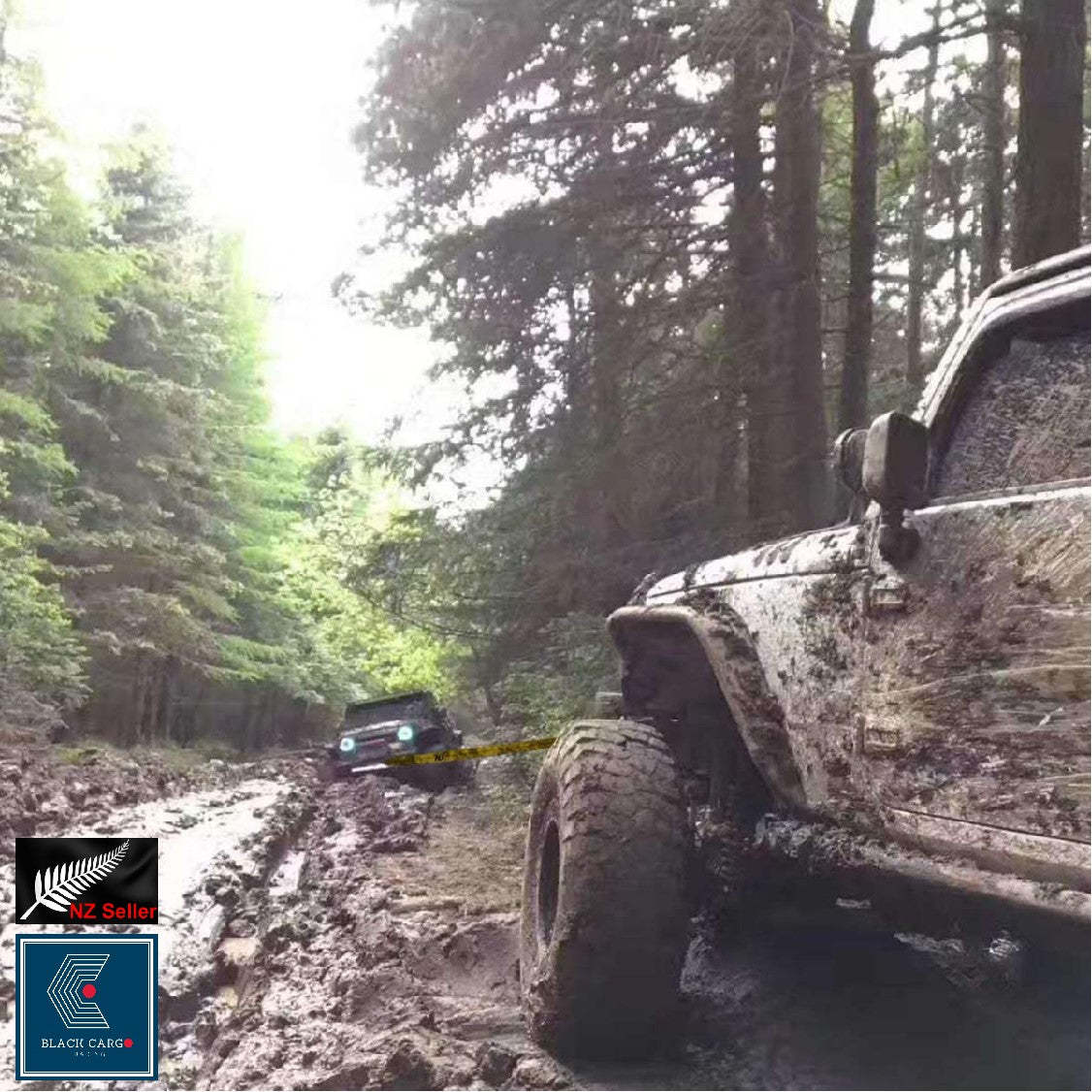 Heavy-Duty Vehicle Tow Strap Tow Rope with Hooks Recovery Rope 5Tons 4Meters