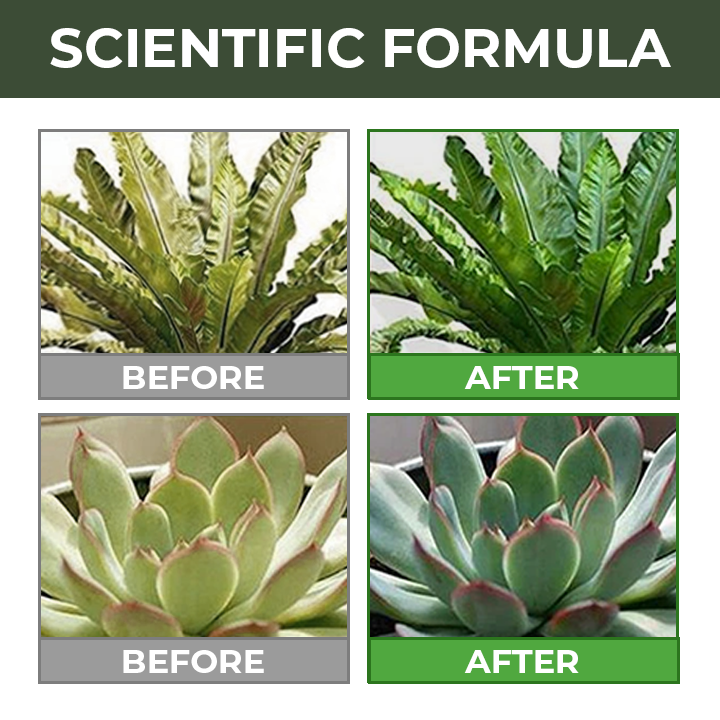 Universal Slow-Release Organic Fertilizer