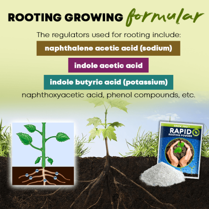 Rapid Rooting Powder (Last Day Offer!)