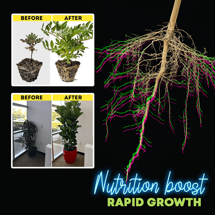 Rapid Rooting Powder (Last Day Offer!)