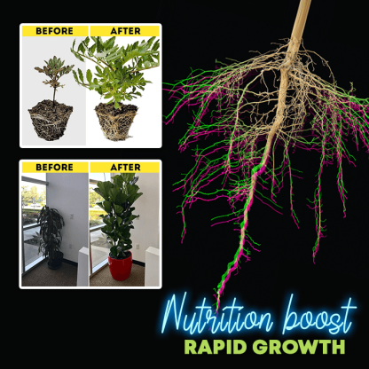 Rapid Rooting Powder (Last Day Offer!)