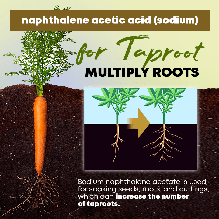 Rapid Rooting Powder (Last Day Offer!)