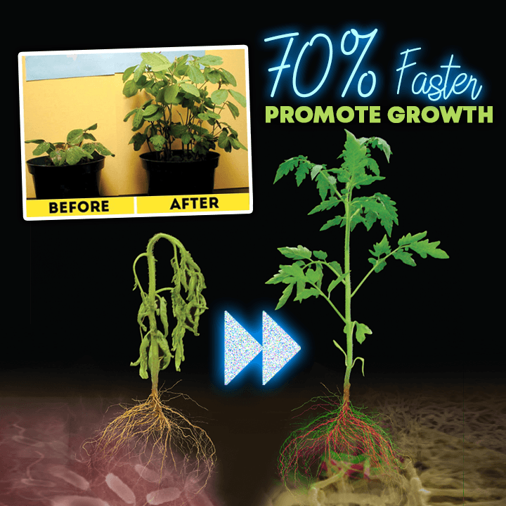 Rapid Rooting Powder (Last Day Offer!)