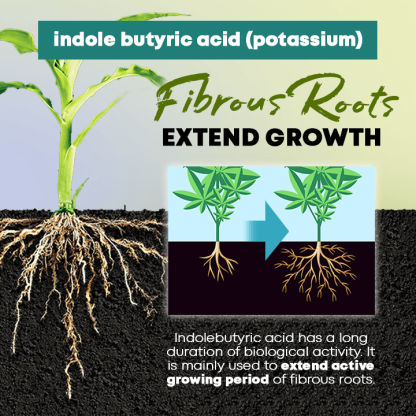Rapid Rooting Powder (Last Day Offer!)