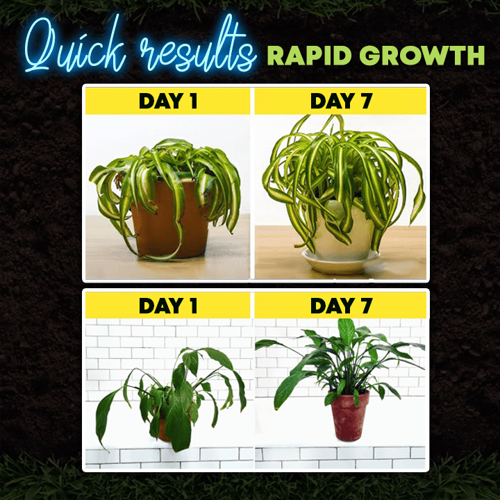 Rapid Rooting Powder (Last Day Offer!)