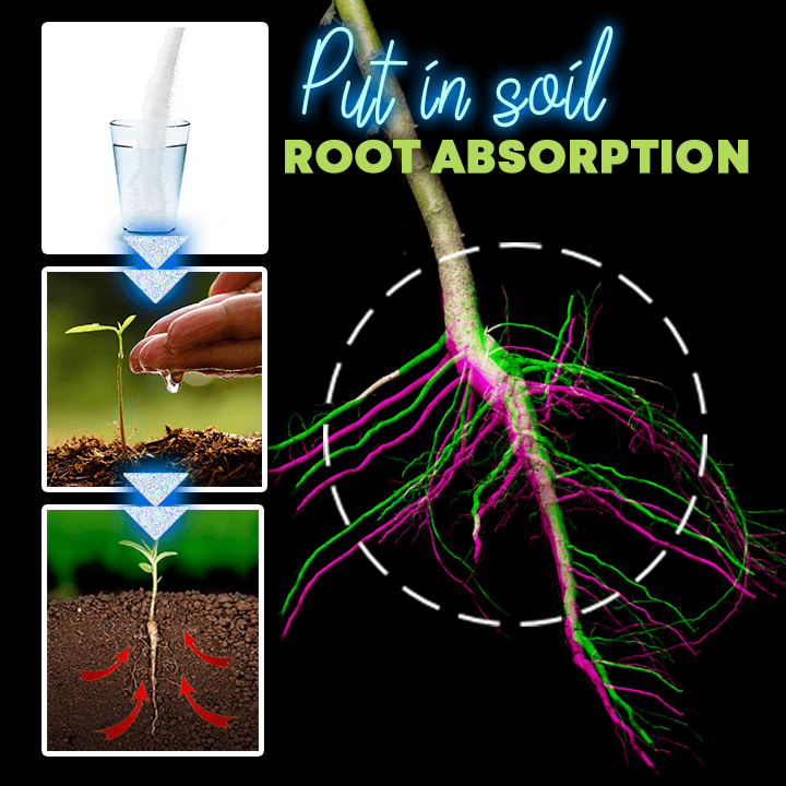 Rapid Rooting Powder (Last Day Offer!)