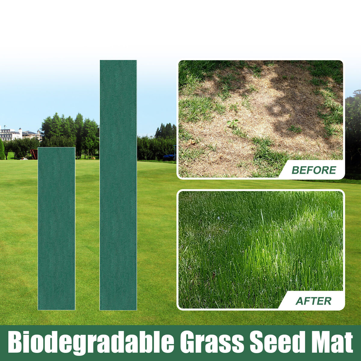Biologische Grassamenmatte