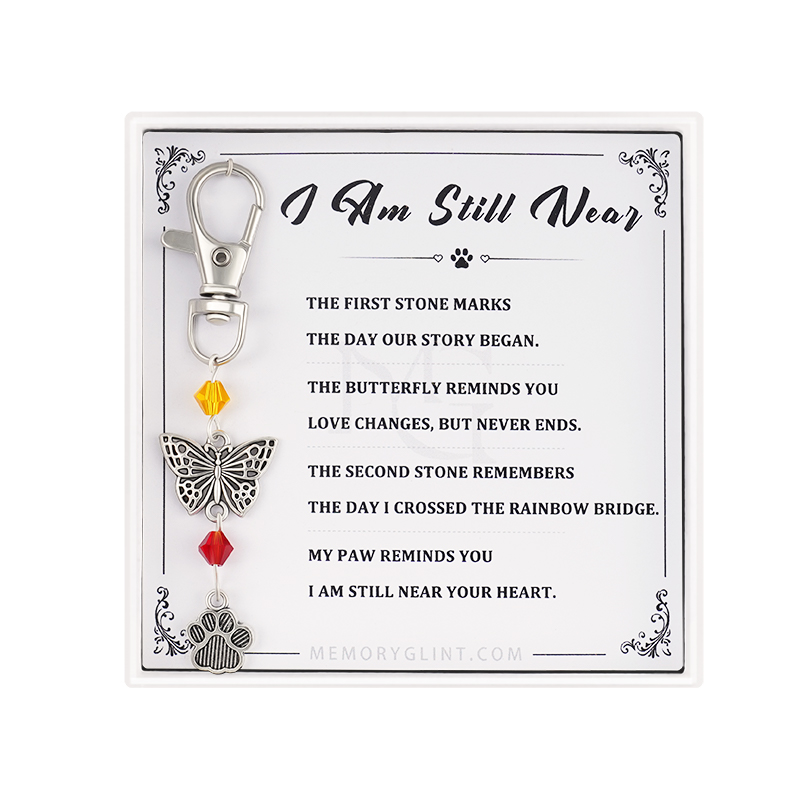 I Am Still Near-Butterfly-Paw