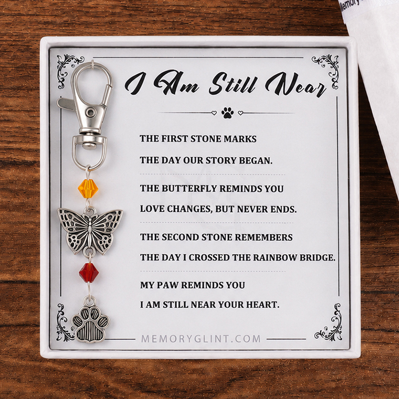 I Am Still Near-Butterfly-Paw