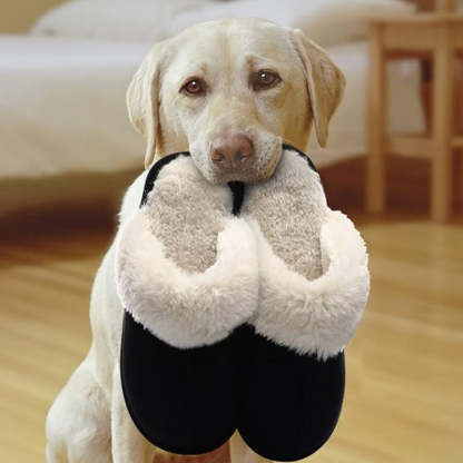 Cozy Fleece Lined Suede Plush Slippers - My Beach Shoes