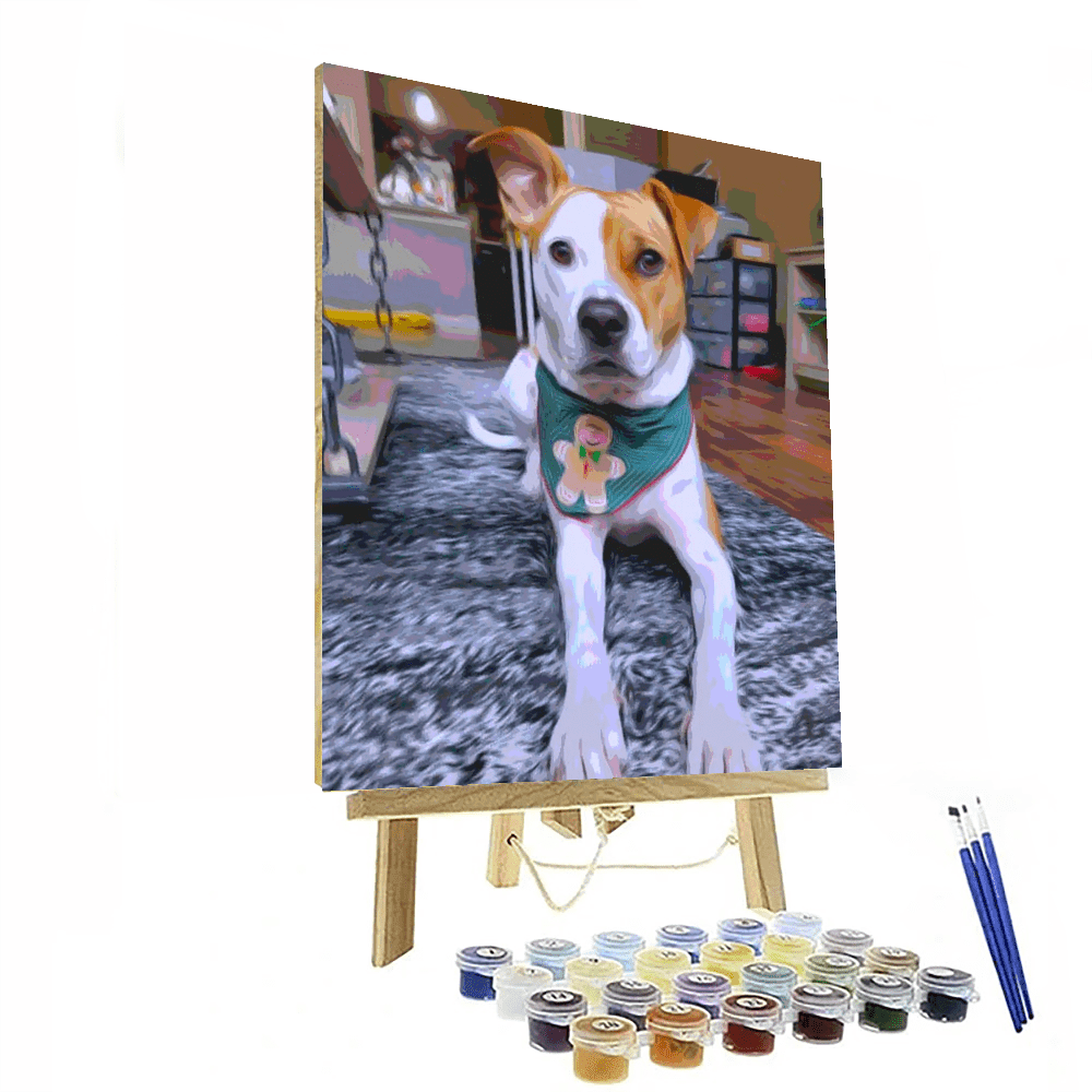 Paint By Numbers Custom Kit