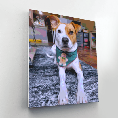 Paint By Numbers Custom Kit