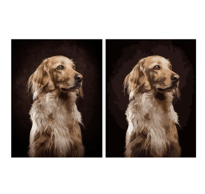 Create Your Own Paint By Number Painting Set