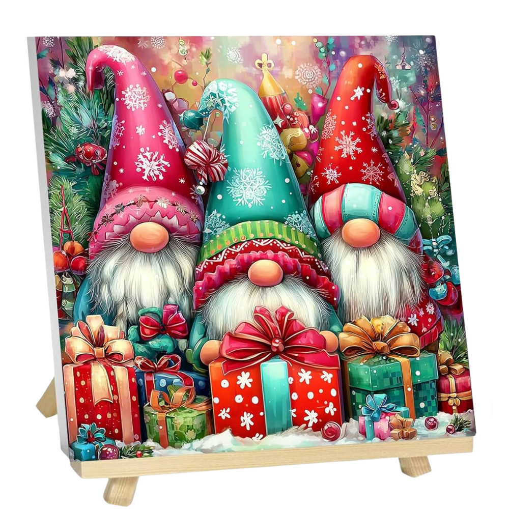 Christmas Gnome Paint by Numbers Kit
