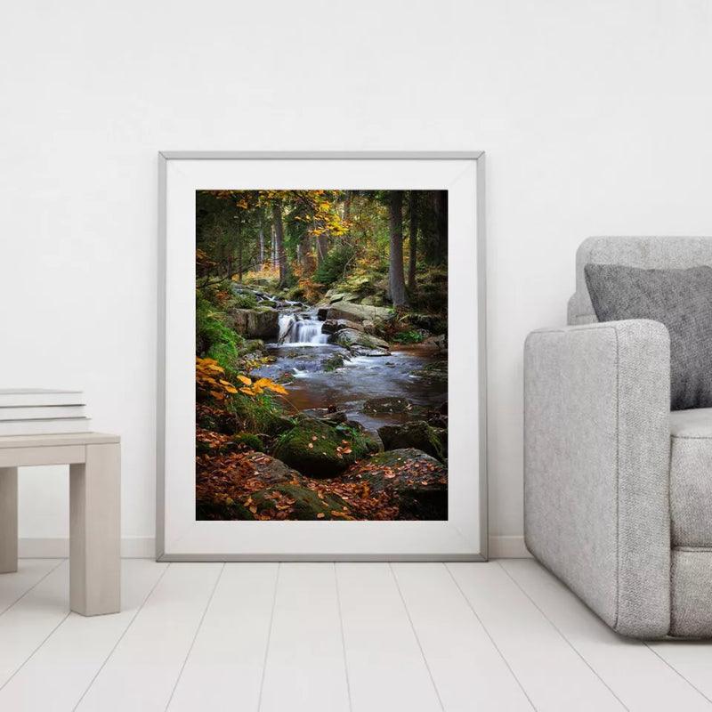 Forest Creek Paint By Numbers Acrylic Painting Kit