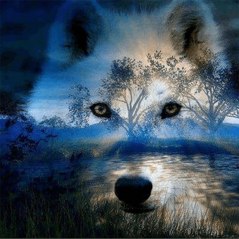 Wolf Design Paint By Numbers Kit