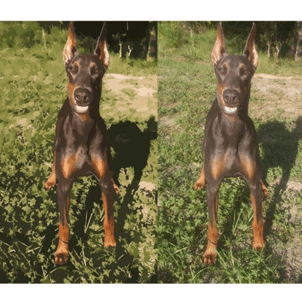 Create Your Own Paint By Number Painting Set