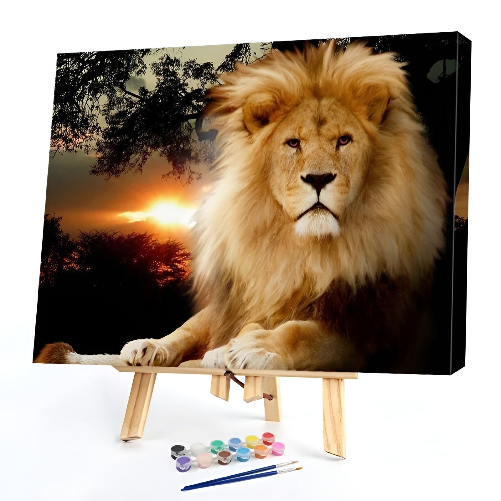 Lion Themed Paint By Numbers Acrylic Painting Kit