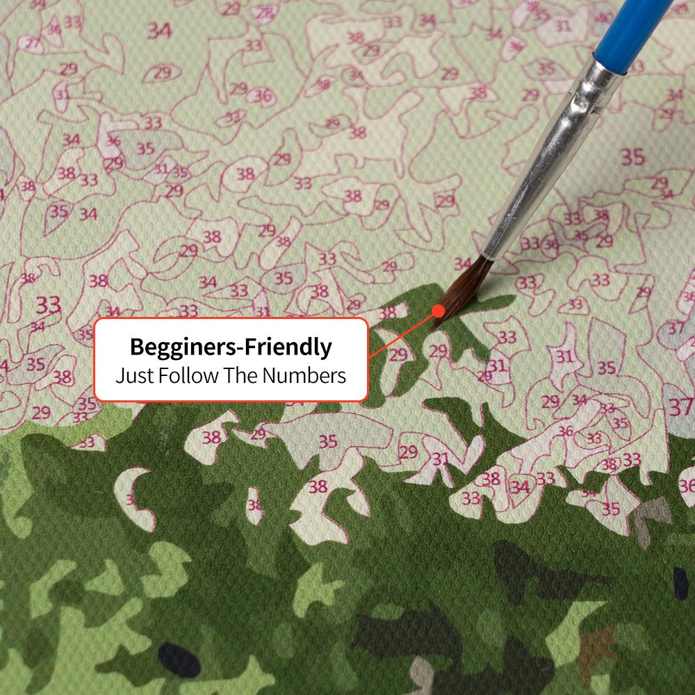 【Unframed】Happy Painting Exclusive DIY Paint by Number Kit Stress Relief Relaxation Toys Beginner Painting Kits Handicrafts with Lions Flowers & Birds Designs