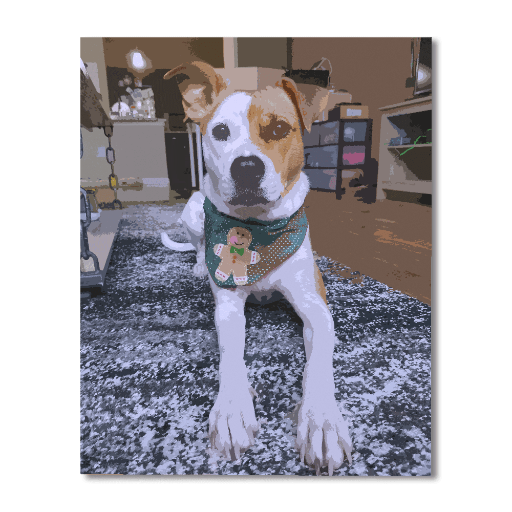 Customized And Personalized Paint By Numbers Kit