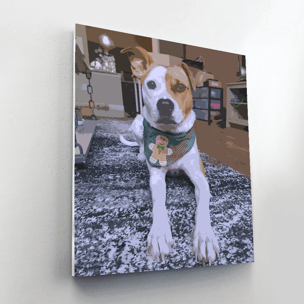 Customized And Personalized Paint By Numbers Kit