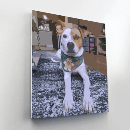 Customized And Personalized Paint By Numbers Kit