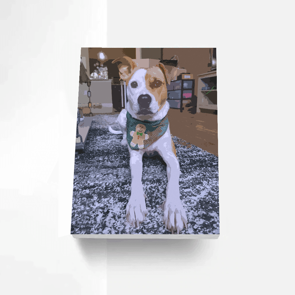 Customized And Personalized Paint By Numbers Kit