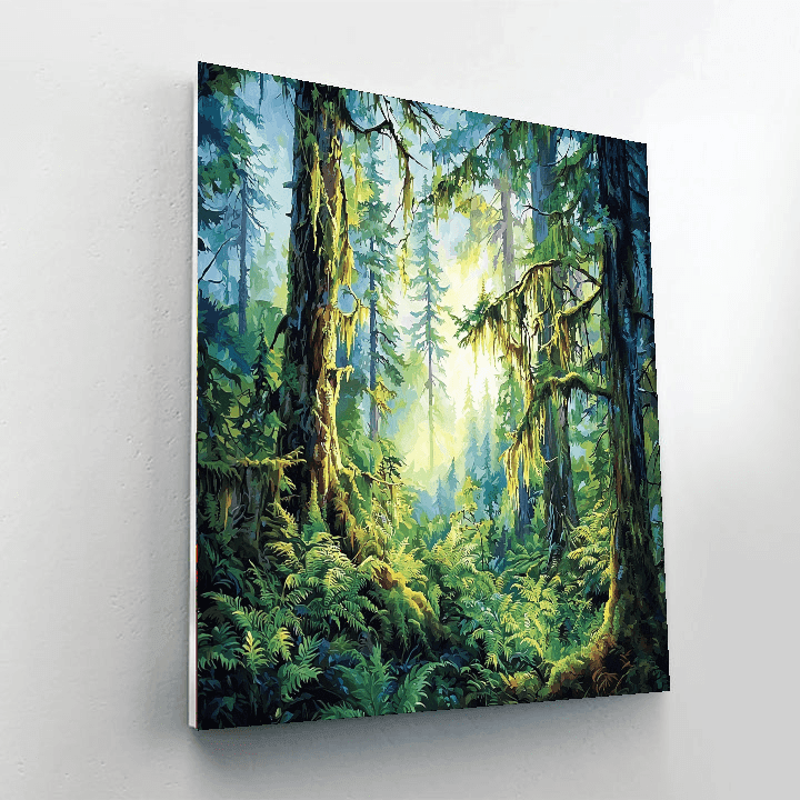 Hoh Rainforest - Washington Paint By Numbers