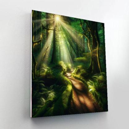 Whimsical Woodland Trail Paint By Number
