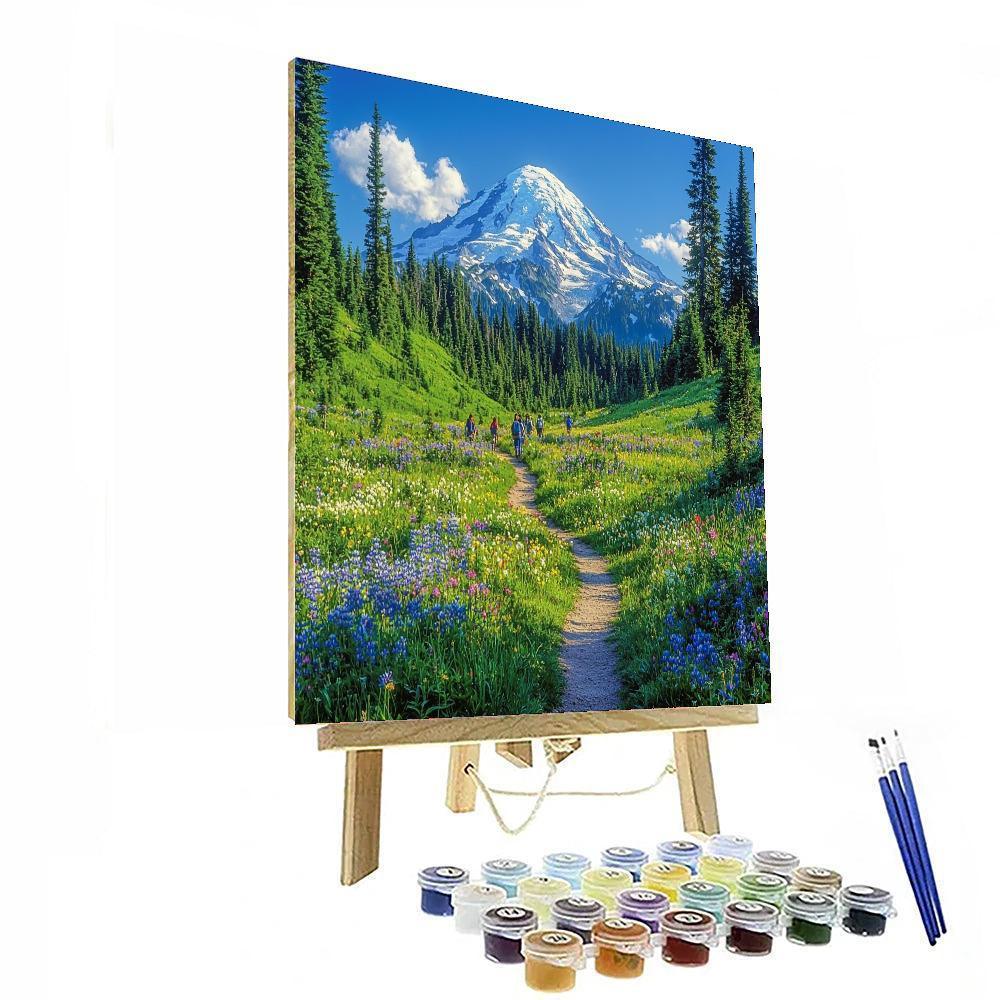 Mount Rainier National Park - Washington Paint By Number