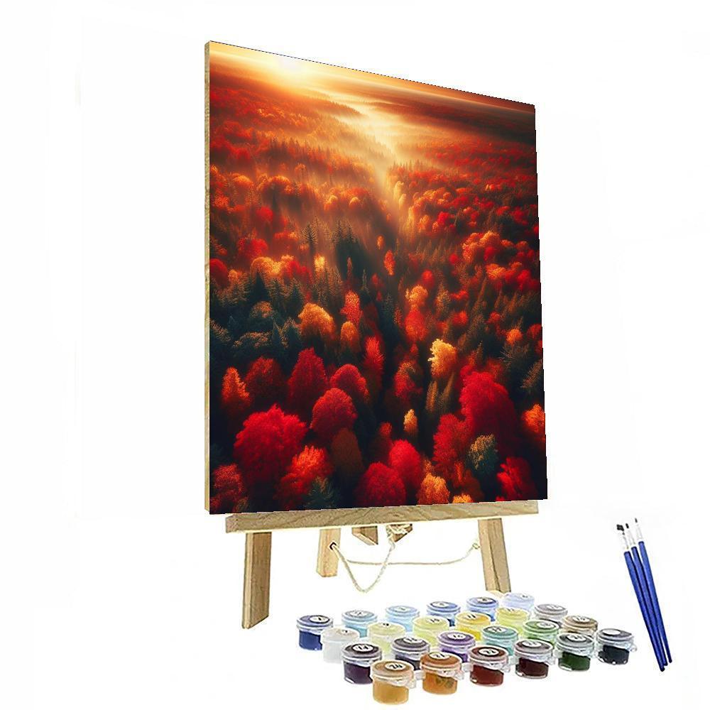 Aerial View Of Autumn Numbered Painting Kits