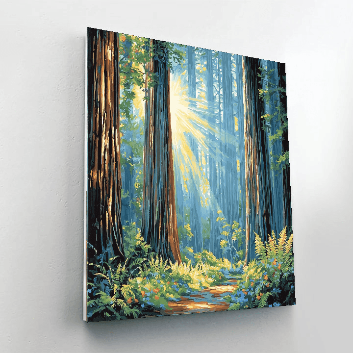 Redwood National Park - California Numbered Painting Kits