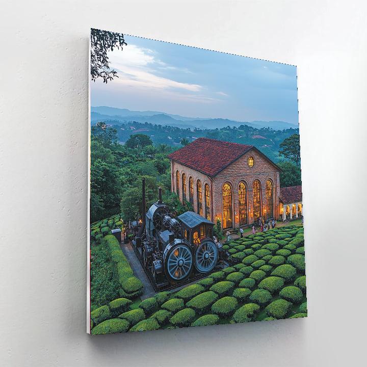 Kandy's Ceylon Tea Museum - Sri Lanka DIY Paint By Numbers