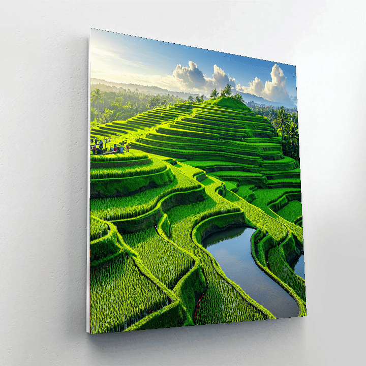 Bali Rice Terraces DIY Paint By Numbers