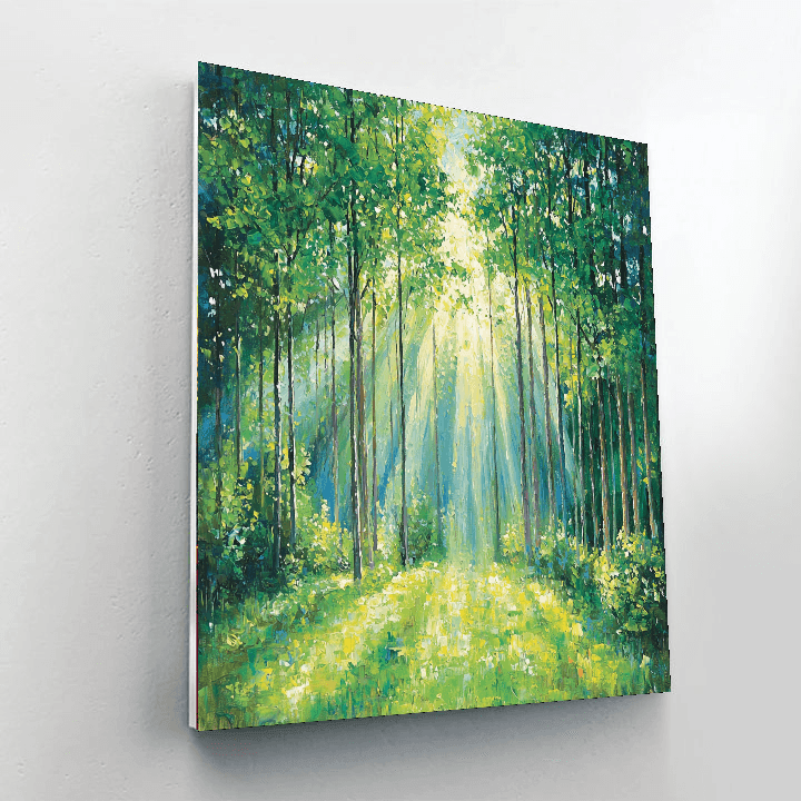 Claude Monet Inspired Sunlit Forest Retreat  Paint By Numbers Kits