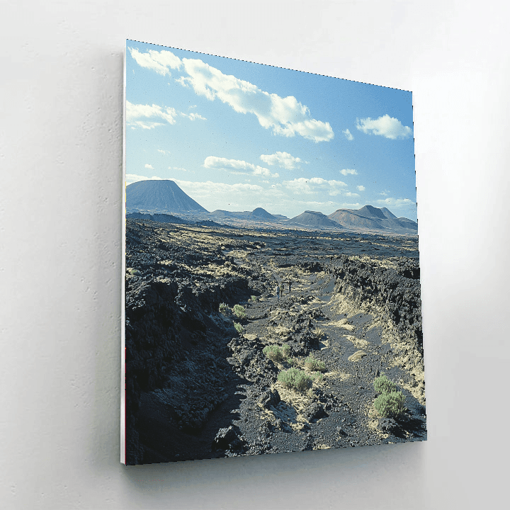 Lava Fields - Lanzarote, Spain Paint By Numbers Kits