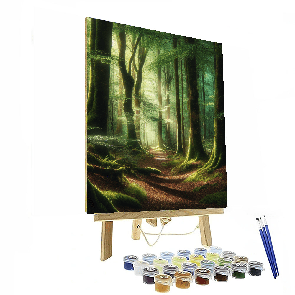 Forest Pathway Adventure Paint By Numbers Art