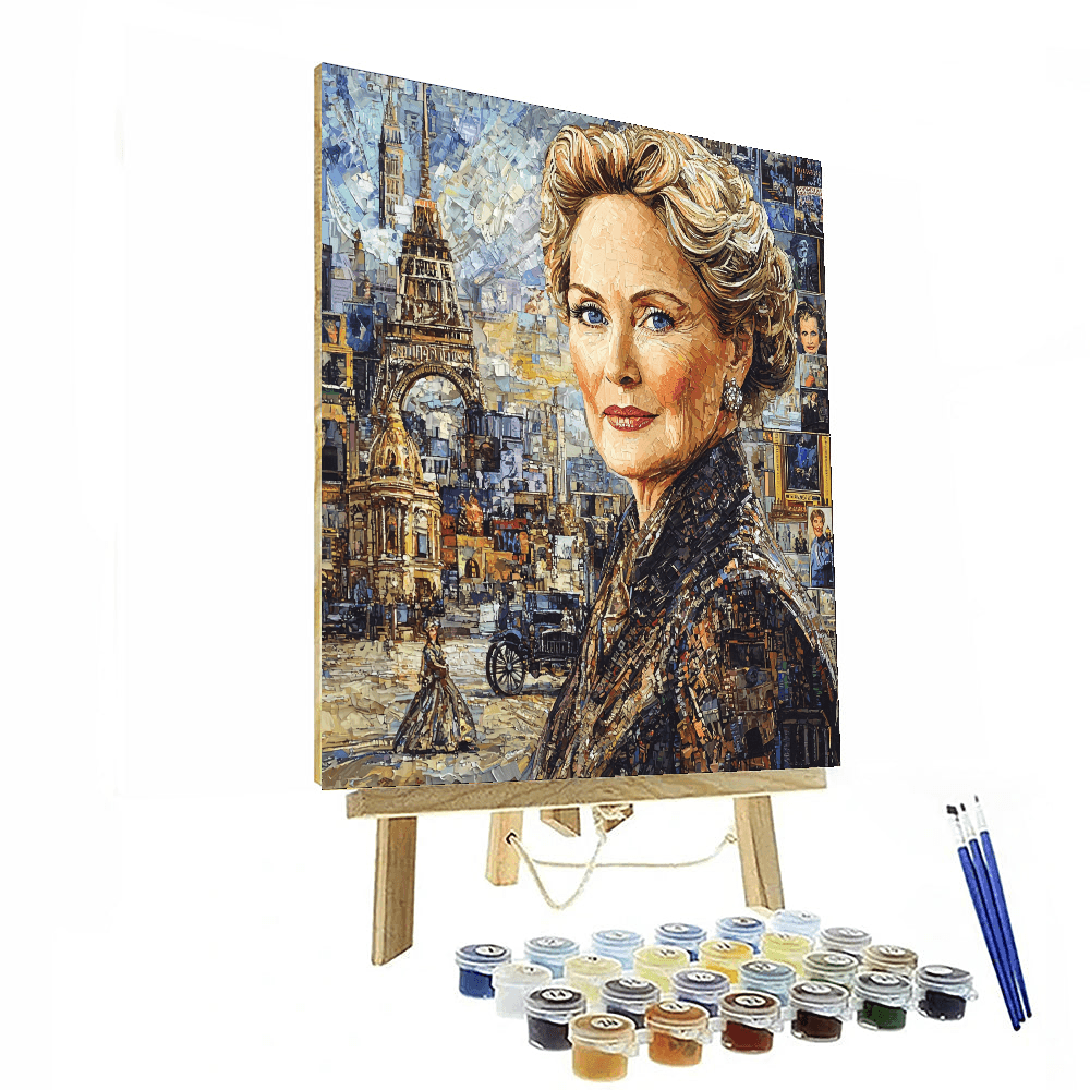 Meryl Streep: The Chameleon's Artistry In Hollywood Painting Number Kit