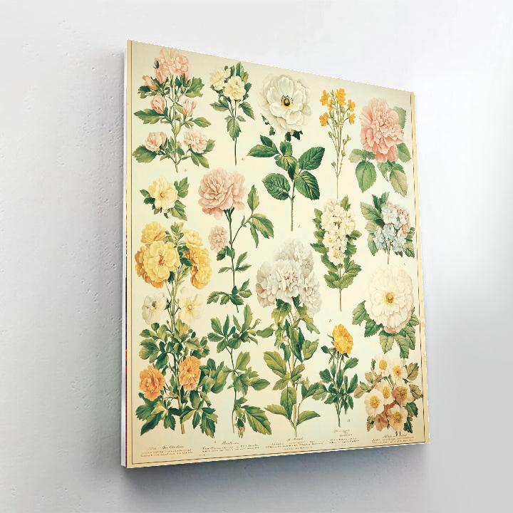 Pierre-Joseph Redouté Inspired Vintage Botanical Illustrations  Paint By Numbers Kits